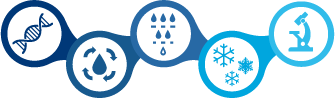 Icon: 5-step purification process of NovoSeven® RT (Coagulation Factor VIIa [Recombinant])